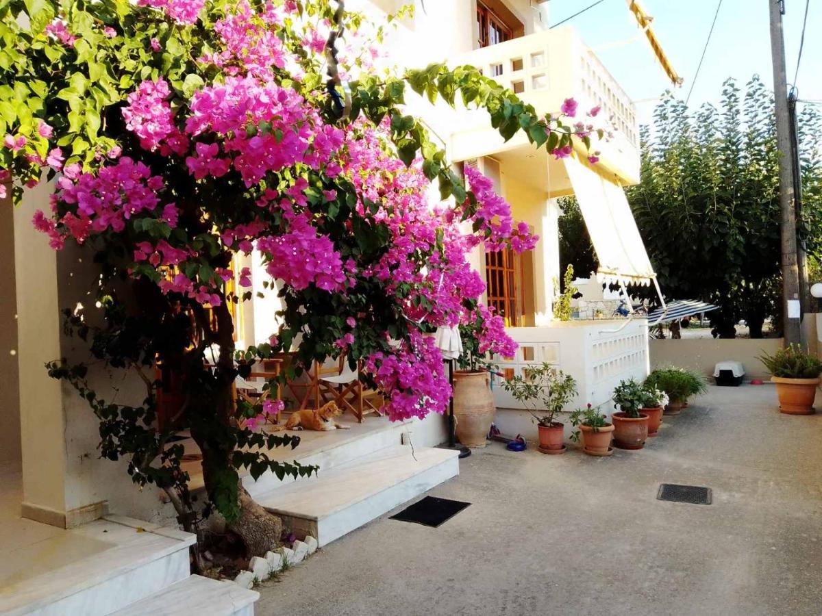Irini Apartments Platanés Dış mekan fotoğraf