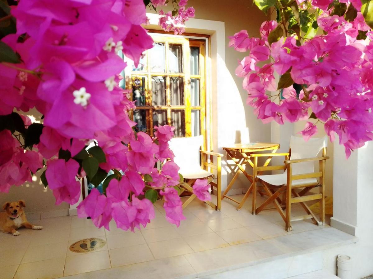 Irini Apartments Platanés Dış mekan fotoğraf